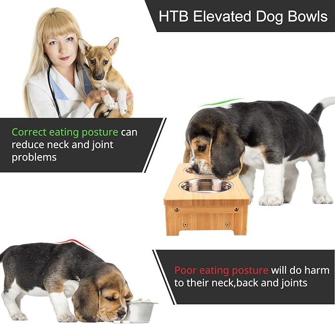 HTB Elevated Dog Bowl Stand with 2 Stainless Steel Bowls-4" H Small Bamboo | Raised Dog Bowl Stand, 4"tall, 21 Oz Bowls, for Small Sized Dogs, Pet-safe, Solid Bamboo - Image 6