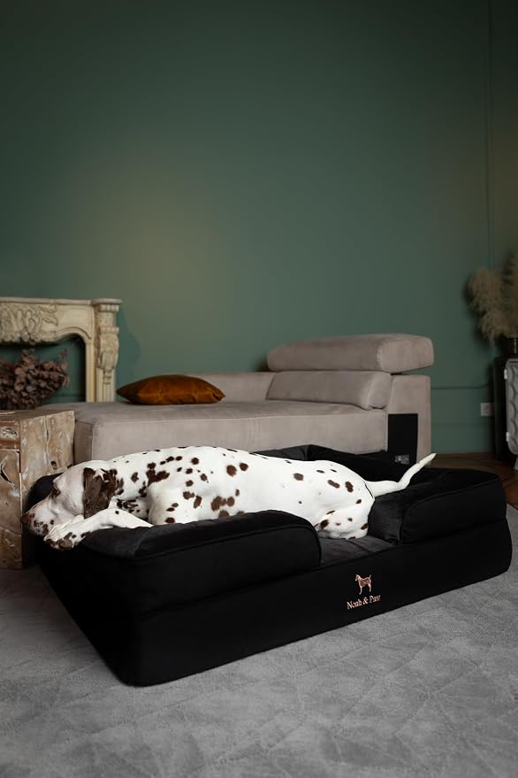 NOAH & PAW XL Dog Bed, 45x35x11 Inch, Orthopedic Large Dog Beds, Eggshell Memory Foam Infused with Cooling Gel, Inner Cover, Water Resistant, Machine Washable (Denim Sofa Collection) - Image 3