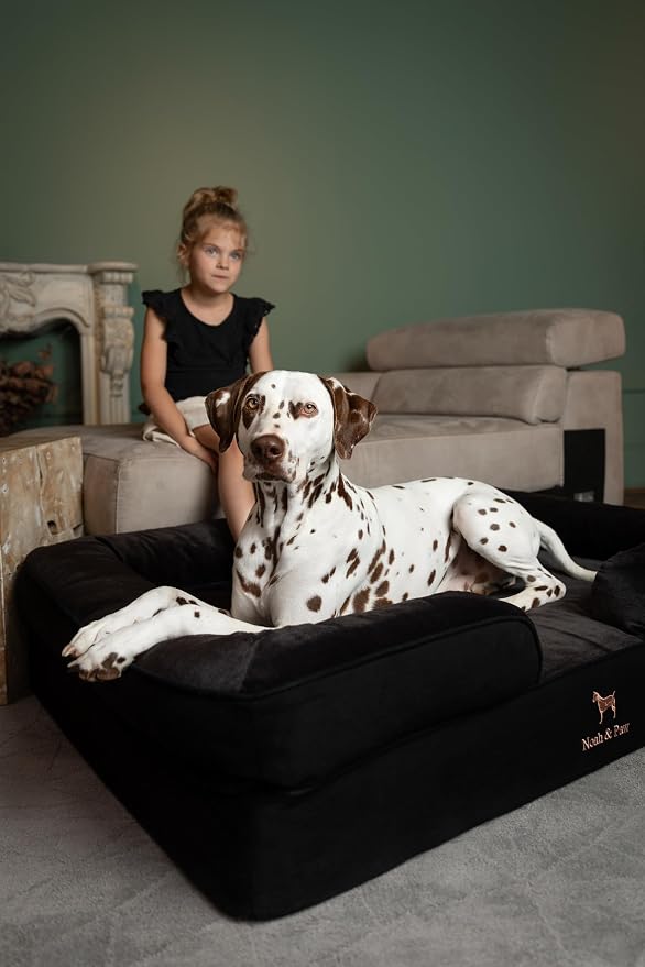 NOAH & PAW XL Dog Bed, 45x35x11 Inch, Orthopedic Large Dog Beds, Eggshell Memory Foam Infused with Cooling Gel, Inner Cover, Water Resistant, Machine Washable (Denim Sofa Collection) - Image 2