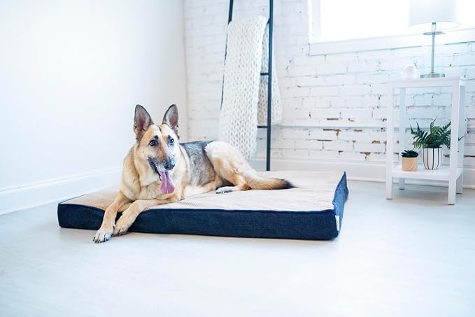 Petmate La-Z-Boy Bentley Orthopedic Foam XX-Large Dog Bed Midnight Blue (50 x 40 x 4 inches) for Dogs up to 125lbs with Supportive Foam Durable Removable Washable Cover - Image 4