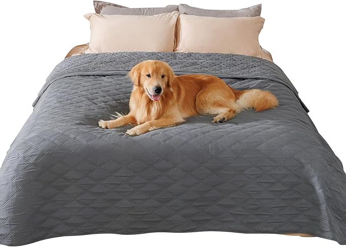 Luciphia Waterproof Couch Cover for Dogs, Non-Slip Pet Sofa Protector | Non-slip waterproof couch cover scratch-resistant machine washable protects sofa bed from spills fur claws, Grey, 82" x 120" by luciphia