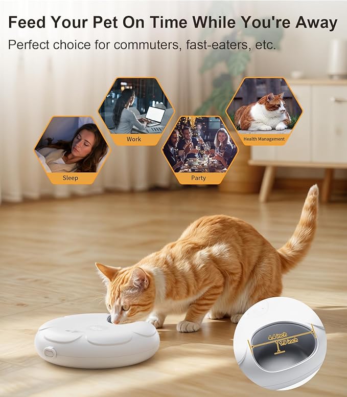 Casfuy Automatic Cat Feeder Cordless - Automatic Cat Food Dispenser for Wet Moist Food with 4 Ice Packs Rechargeable Auto Feeder for Cats Small Dogs with Programmable Timer Low Battery Indicator - Image 2