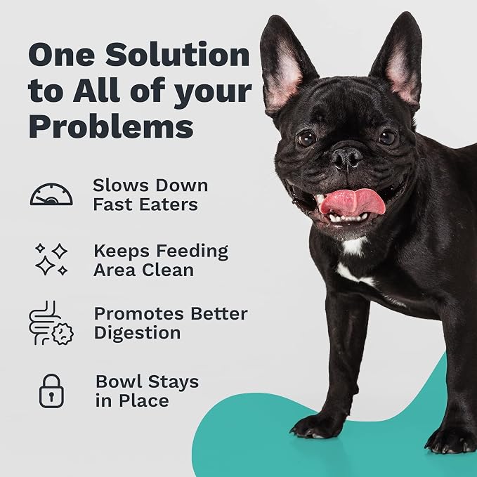 Enhanced Pet Bowl – Slanted Stainless Steel Dog Bowl for Breeds Like Bulldogs, Pugs – Raised Back, No-Spill, Reduces Gas & Mess – Medium Size, Non-Slip, Food-Grade - Does Not Ship from China - Image 4