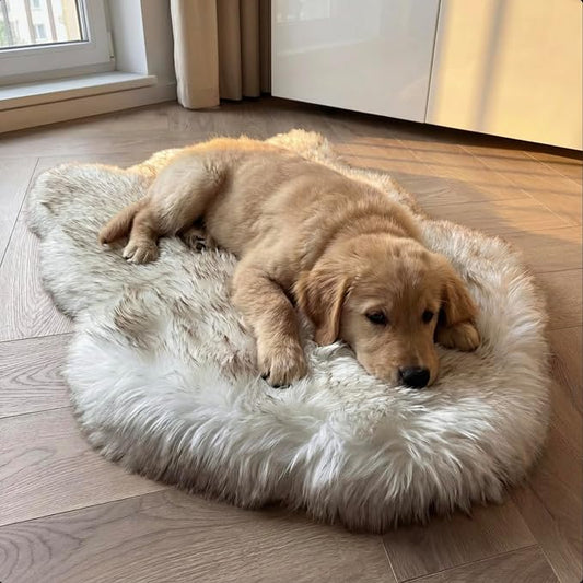 Faux Fur Orthopedic Dog Bed, Memory Foam, White w/Brown Tips 30"x20" | Plush Washable Dog Rug with Waterproof Machine Washable Cover, Calming for Anxious Senior Dogs, Relieves Joints by iHappyDog
