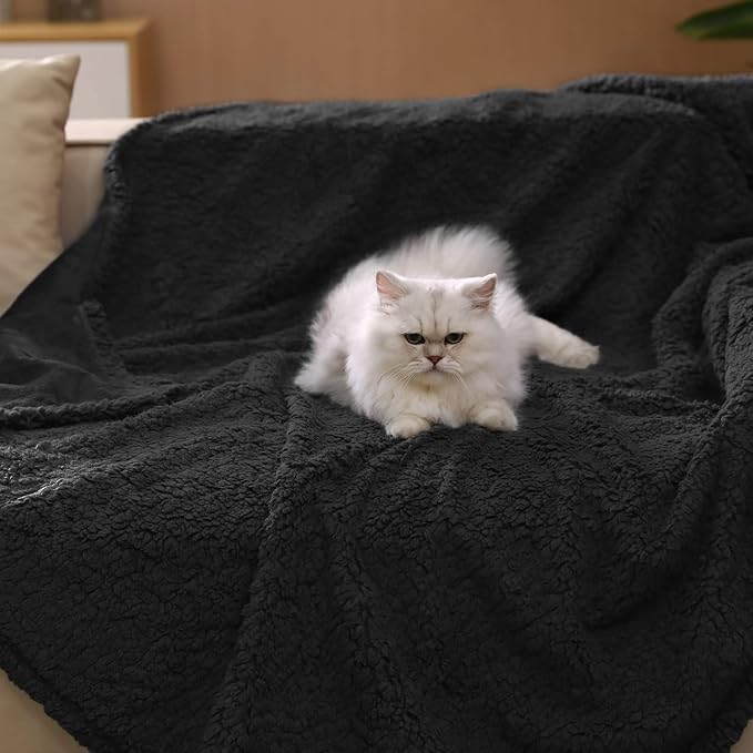 Luciphia Waterproof Pet Blanket, Liquid Pee Proof Dog Blanket for Sofa Bed Couch, Reversible Sherpa Fleece Furniture Protector Cover for Small Medium Large Dogs Cats, Black Thicken Large（65" x 57"） - Image 3