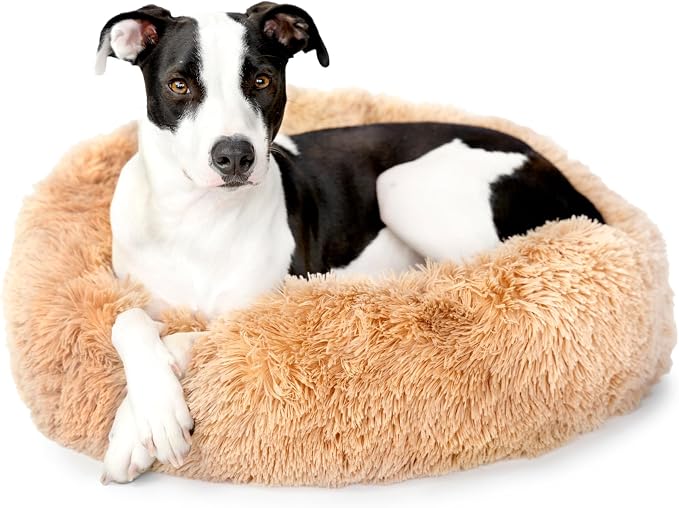 Barkbox Dog Bed, 2-in-1 Memory Foam Donut Cuddler Dog and Cat Bed, Calming Orthopedic Joint Relief Fur Crate Lounger for Pets, Machine Washable + Removable Cover, Waterproof Lining, Includes Toy | Calming Orthopedic Joint Relief Furry Crate Lounger for... by BARK