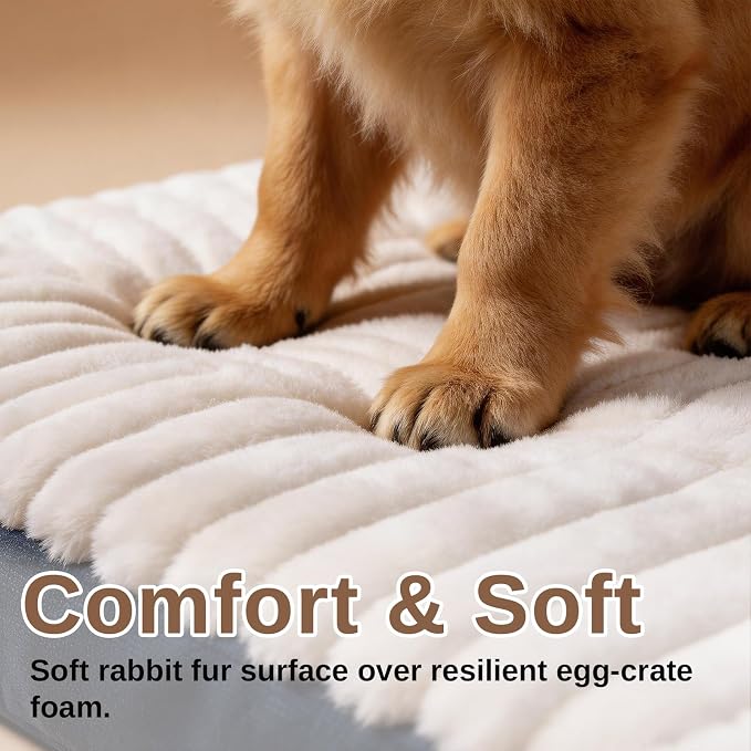 Orthopedic Dog Bed for Small Dogs,Firm Egg Crate Foam,Non-Slip Bottom,Blue | Soft Plush Surface,Removable Machine Washable Cover,Ideal for Crates & Small Spaces,Designed for Joint Support,23"x17"x3" - Image 4