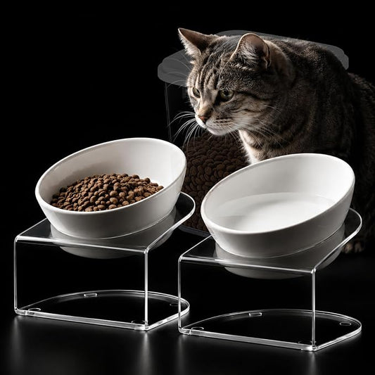 LivLab Mker Elevated Cat Food Bowl, Tilted Water Bowl,Anti Vomiting and Protect Pets' Spines Raised Melamine Pet Dishes for Small Dogs, Flat-Faced Cats & Kittens, White, 2 Pack by LivLabMker