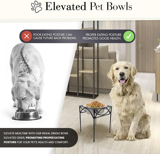 Regal Single Bowl Raised Feeder - Elevated Feeding Station - Metal, Wrought Iron Dog Bowl, Best Single Diner, Pet Bowl for Small, Medium, Large and XL Dogs - NMN Designs (Small - 5"" Tall), Black - Image 5