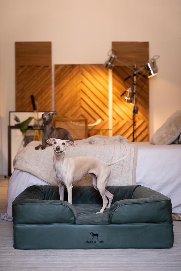 NOAH & PAW Large Dog Bed, 35x25x11 Inch, Orthopedic Dog Beds, Eggshell Memory Foam Infused with Cooling Gel, Inner Cover, Water Resistant, Machine Washable (Faux Leather) - Image 6