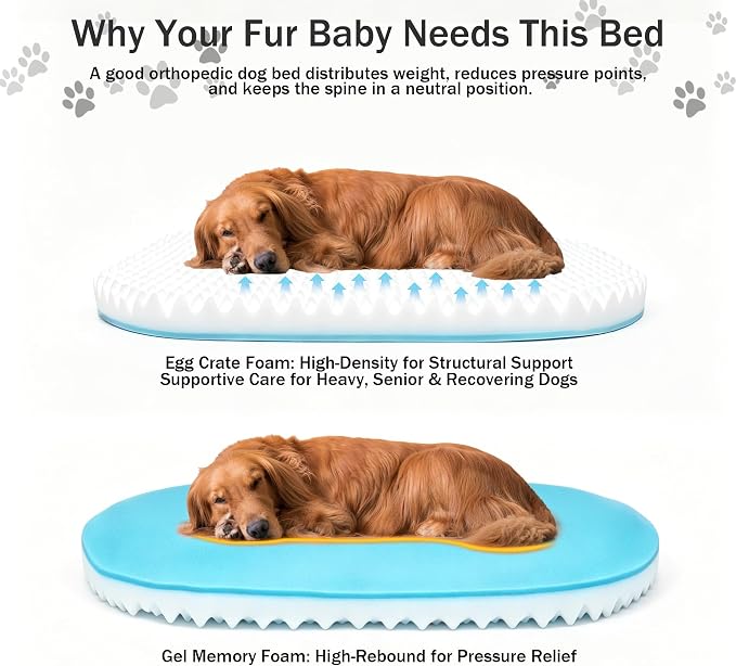 Large Dog Bed Washable with Cover Orthopedic Dog Beds Large Sized Dog with Memory and Egg Crate Foam Waterproof Pet Bed Includes Reusable Potty Pad (Dark Gray, Medium) - Image 6