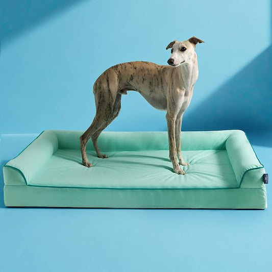 Cooling Dog Bed Large Sized, Orthopedic Pet Cooling Beds with Sides,Q-Max>0.45 Breathable Egg Crate Foam with Removable Washable Cover,Suitabe for Pet Up to 90 lbs, Light Aqua by blunique