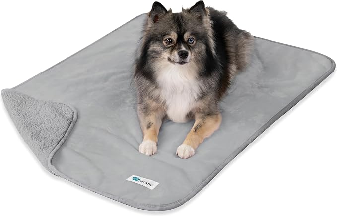 PetAmi Waterproof Dog Blanket for Small Medium Dogs, Pee Proof Pet Blanket for Couch Bed, Reversible Water Proof Blanket for Puppy Indoor Cat, Soft Dog Fleece Blankets Washable, 29x40 Light Gray by PetAmi