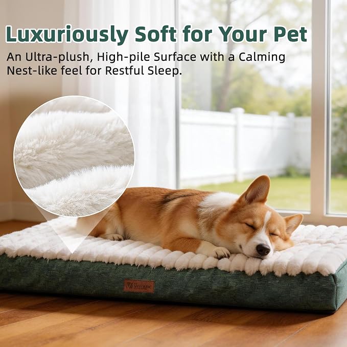 Orthopedic Dog Bed for Small Dogs,Firm Egg Crate Foam,Non-Slip Bottom,Green | Soft Plush Surface,Removable Machine Washable Cover,Ideal for Crates & Small Spaces,Designed for Joint Support,23"x17"x3" - Image 3