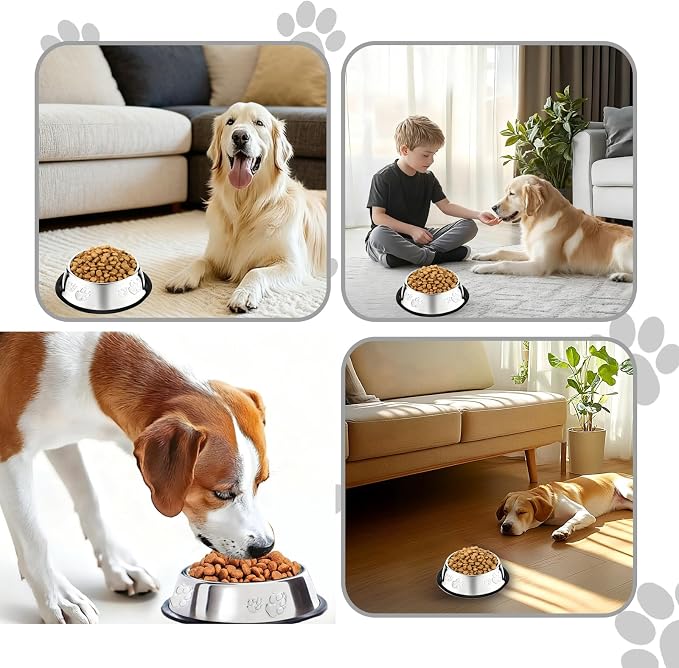 10 Pcs Stainless Steel Dog Bowl Pet Feeding Bowl with Rubber Base Non-Slip Pet Dishes Metal Dog Bowls Pet Food and Water Bowls for Small Medium Animals Kitten Rabbit (47.3 oz) - Image 3