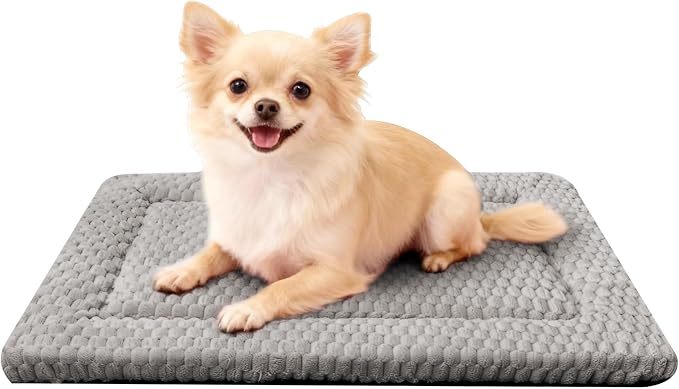 Dog Bed Mat - Dog Crate Pad - Reversible Mat for Pet Comfort - Soft Bed Crate Pads for All Seasons - Durable, Machine Washable Mat for Crates, Travel, and Home (Light Gray, 24" L*18" W*1.5" Th) by FogkissComfyPawsHome