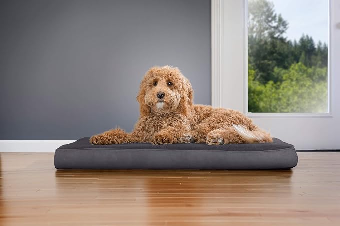 Furhaven Orthopedic Dog Bed for Large/Medium Dogs w/ Removable Washable Cover, For Dogs Up to 55 lbs - Terry & Suede Mattress - Gray, Large - Image 3