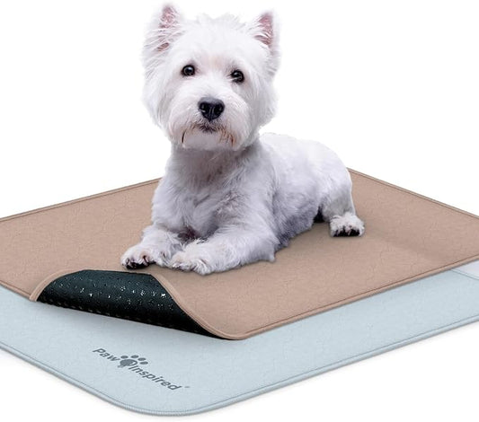 Paw Inspired Washable Crate Liners for Dogs, 24x18 Inch, 2 Pack | Fits 24 Inch Kennels, Leakproof, Non-Slip Pee Pads, Reusable Puppy Pads for Potty Training, Whelping, Waterproof Pet Mat by HOME