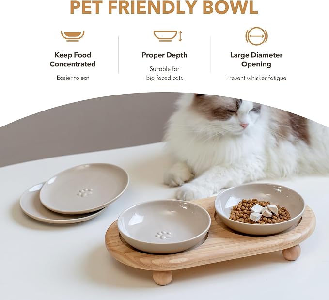 Havniva Elevated Cat Bowls, Raised Ceramic Cat Bowl with Stand, Two Heights | Cat Food & Water Bowl Set, Whisker Friendly, 5.6” Raised Cat Dishes + 6” Shallow Cat Plates, Non-slip Wood Stand, Kitten Bowl - Image 5
