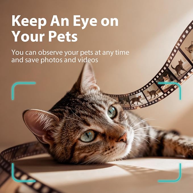 IMIPAW Automatic Cat Feeder with Camera - AI Pet Recognition & Recording, Night Vision, 5G WiFi APP Remote Control, Two-Way Audio & Desiccant Bag, Timed Programmable Food Dispenser for Small Pets - Image 5