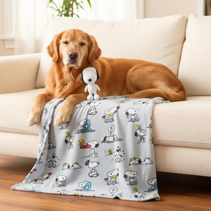 Peanuts Snoopy Pet Throw & Squeaky Pillow Set, Stimulating Toy As Gifts for Puppies, Cats, Dogs, (Officially Licensed) By Franco by Franco