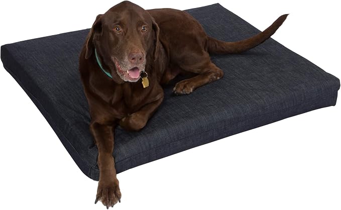 Pet Support Systems Orthopedic Dog Bed - Gel Memory Foam Pet Bed, Luxury Washable Dog Bed for Sleeping and Support (Removable Cover, Large Blue Dog Bed) by BackSupportSystems