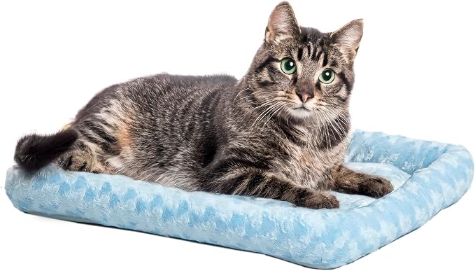 MidWest Homes for Pets QuietTime Fashion XXS Dog Bed - Blue Faux Fur Bolster, Ultra-Soft and Machine Washable, Fits 18-Inch Crates and Carriers, for Small Dogs and Cats by MidWestHomesForPets