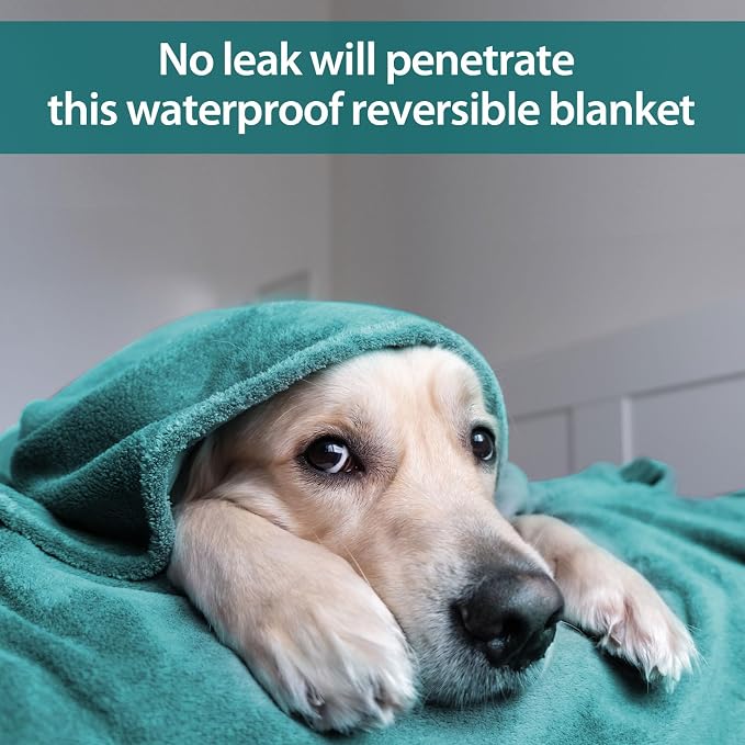 Queen Size Waterproof Blanket for Bed 80"x60", Reversible Aqua/Turquoise | Waterproof Washable - Image 4