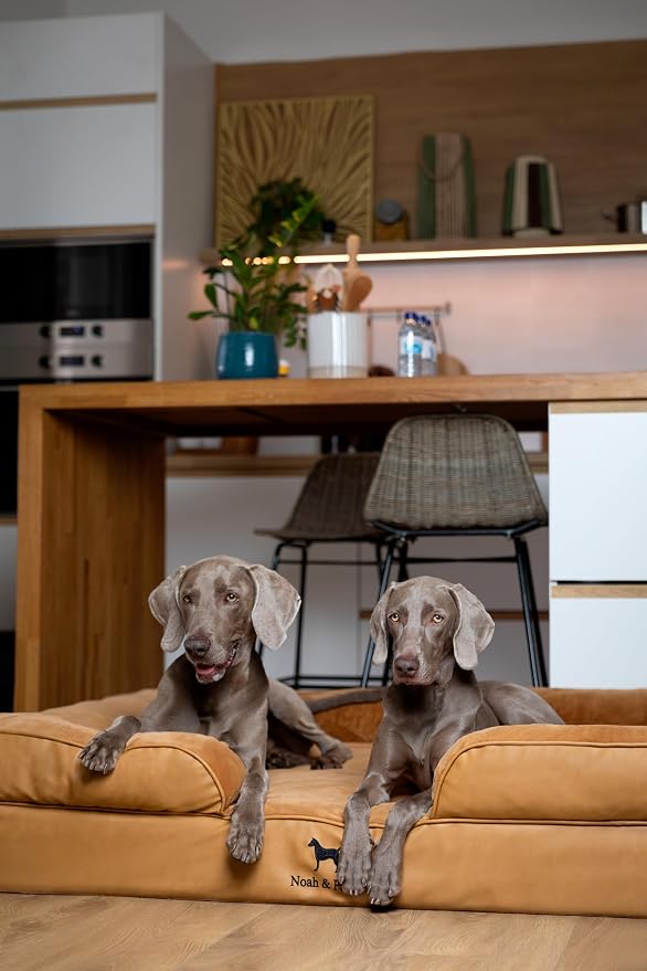 NOAH & PAW Giant Dog Bed XXL, 55x45x11 Inch, Orthopedic Dog Beds, Eggshell Memory Foam Infused with Cooling Gel, Inner Cover, Water Resistant, Machine Washable (Faux Leather) - Image 3