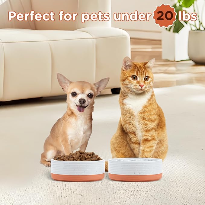 SPUNKYJUNKY Ceramic Dog and Cat Bowls 2 Pack, 5.1'' Dog and Cat Food Water Double Feeding Bowls Non-Slip for Cats and Puppy Small Sized Breed Microwave Dishwasher Safe - 13.5 OZ, 2pcs, Pattern White - Image 6