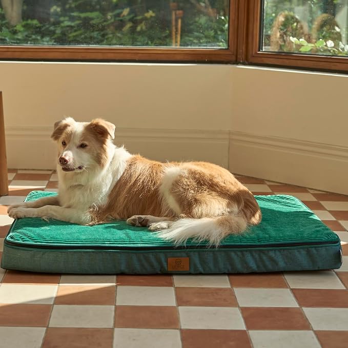 LIORCE Memory Foam XL Dog Bed - 4” Thick Orthopedic Beds for Extra Large Dogs - Waterproof Dog Bed with Removable Washable Cover & Wrap-Around Zipper - Ultimate Comfort and Easy Maintenance, Green - Image 6
