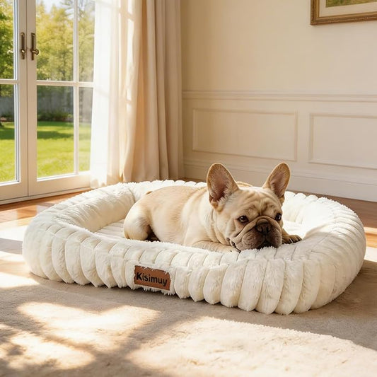 Orthopedic Dog Bed, Washable Medium Dog Couch for Senior Dogs | 30L x 24W x 5H, Egg-Crate Foam, Low Front Entry Design, Removable Cover, Non-Slip Bottom, Medium Dog Bed, Cream by Unknown