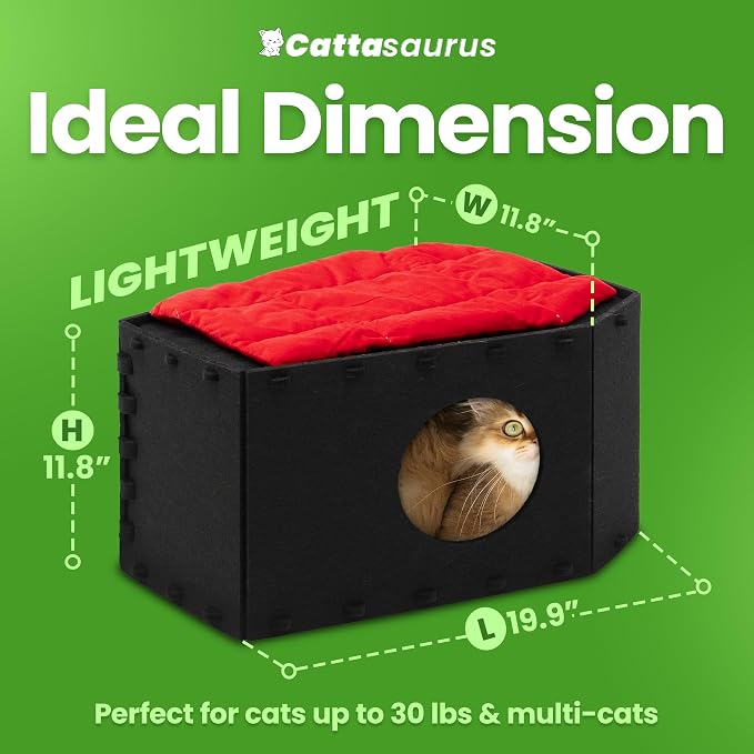 Cattasaurus Holiday Portable Cat House, Foldable Cat Beds for Indoor Cats, Enclosed Peekaboo Cave for Multiple Cats up to 26 lbs, Scratch Resistant Bunk Beds for Halloween, Christmas (Gothic Coffin) - Image 6