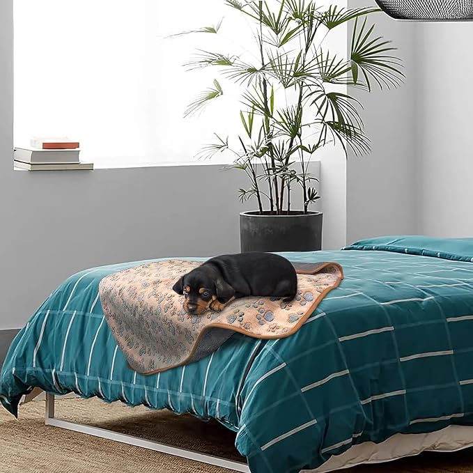 YUEPET 2 Pack Waterproof Dog Blanket, Washable Puppy Blanket for Small Dogs | Waterproof Inner Layer, Bed Couch Sofa Protector, Soft Fleece Flannel, 23x16", Machine Washable, White Coffee - Image 7