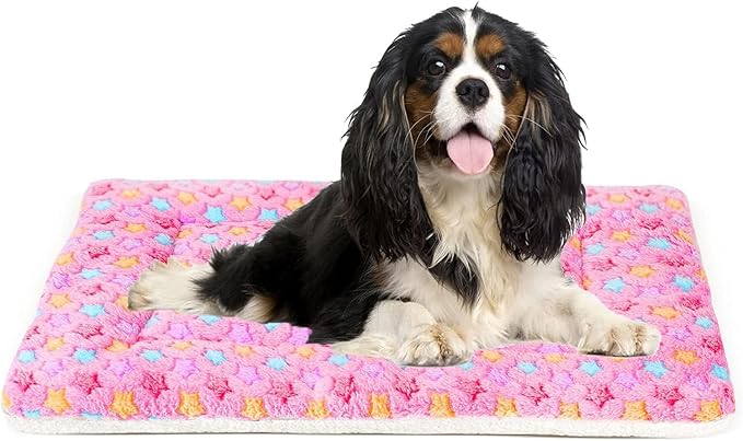 Mora Pets Dog Bed Crate Pad Ultra Soft Pet Bed with Cute Star Print Washable Crate Mat for Large Medium Small Dogs Reversible Fleece Dog Crate Kennel Mat Cat Bed Liner 29 x 21 inch Pink by MoraPets