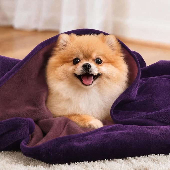 LOOBANI Waterproof Dog Blanket for Small Dogs, Pet Blanket 30" x 40" Purple | Double Side Liquid-Proof, Puppy Blanket for Dog Cat Bed, Crate, Playpen, Reversible Soft Flannel Couch Cover Throw - Image 5