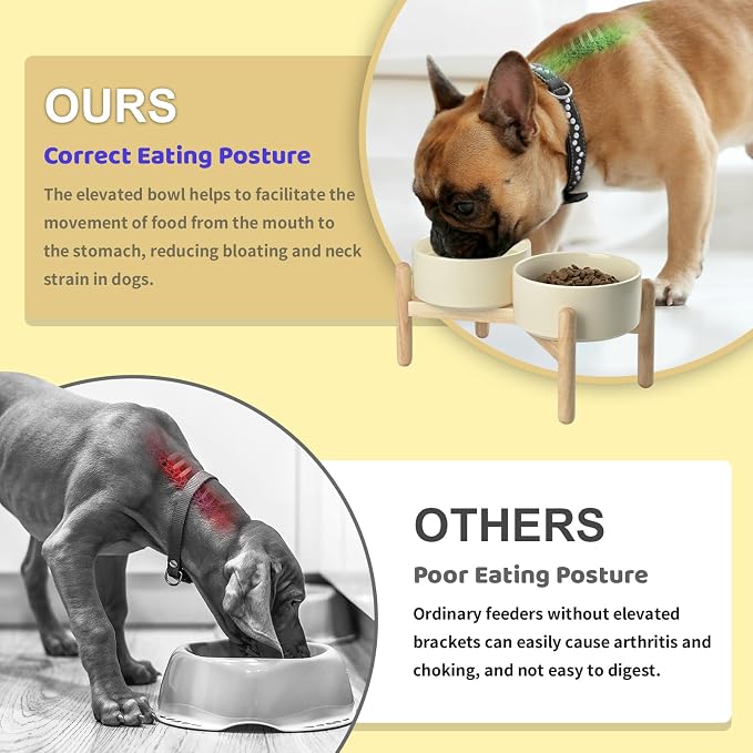 SPUNKYJUNKY Ceramics Raised Dog Bowl with Wooden Stand - Double 28.7OZ Cream White Bowls for Small Medium Dogs - Image 3