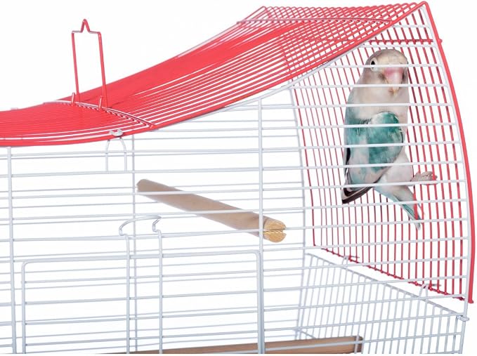 Prevue Pet Products South Beach Wave Top Bird Cage, Lime Green (SP50081) - Image 6