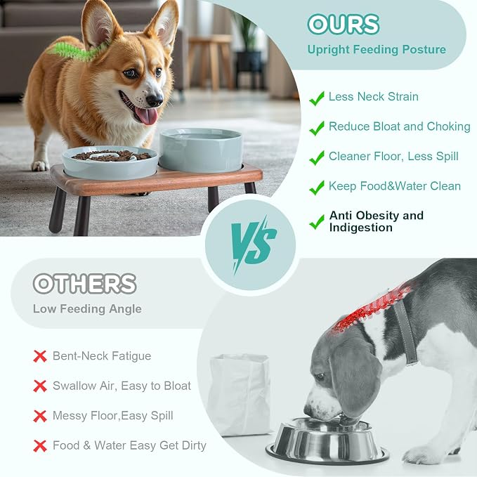 SPUNKYJUNKY Ceramic Elevated Dog Bowls with Slow Feeder Raised with Acacia Bamboo Wooden Stand, 6.1'' Dog and Cat Food Water Bowls Set Non-Slip for Small Medium Sized Breed - Light Green - Image 3