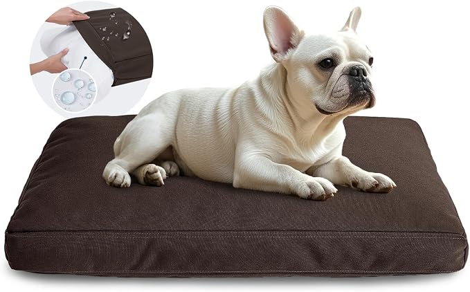 Miguel Durable Canvas Dog Bed for Medium Small Pet Outdoor Dogs Pad 14 Ounce Canvas Waterproof Pet Pillow with Removable Washable Cover,30 x 20 inch, Brown by Miguel