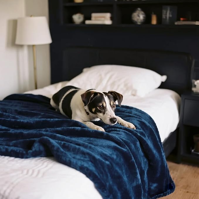 gogobunny Waterproof Bed Blanket, Reversible Sherpa Fleece Throw Blanket for Dog Puppy Cat, Furniture Cover Protects Bed Couch Sofa from Liquid Pee and Pet Fur (Navy Blue, 60x80 inches) - Image 5