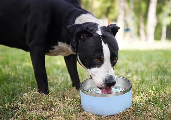 ALPINE Set of 2 Stainless Steel Dog Bowls, Non Slip, Metal Pet Bowl for Food and Water, Double Walled Insulated, Rustproof, Dishwasher Safe (64 oz, Sky Blue) - Image 6