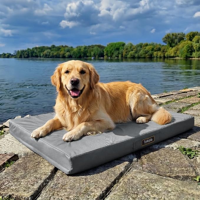 Sytopia Outdoor Dog Bed for Extra Large Dogs (90 lbs), Waterproof Orthopedic Pet Bed with Removable Washable Cover, Indoor Outdoor Dog Mat for Patio, Crate, Camping, Travel & Home, Gray by Sytopia