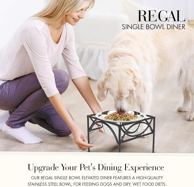 Regal Single Bowl Raised Feeder - Elevated Feeding Station - Metal, Wrought Iron Dog Bowl, Best Single Diner, Pet Bowl for Small, Medium, Large and XL Dogs - NMN Designs (Small - 5"" Tall), Black - Image 2