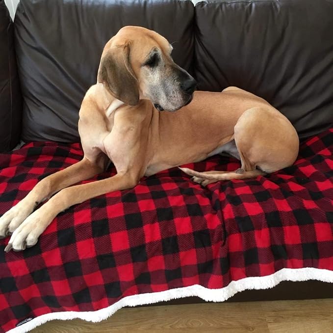 Catalonia Waterproof Blanket for Bed, Reversible Leakproof Throw | 50 x 60 Inch, Plaid, Washable Protector Cover for Couch and Sofa, Stain Proof Blanket for Pets, Kids and Everyday Spills - Image 2