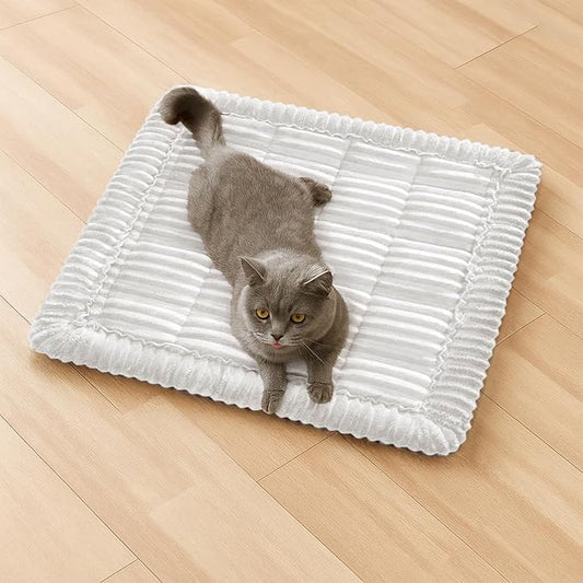 FUNNY FUZZY Pet Couch Covers for Sofa, Washable Dog Couch Cover Protector for Dogs, Flannel Couch Covers for Dogs Pet Friendly Pets Mat Bed (White, 19.7"x19.7") by FUNNYFUZZY