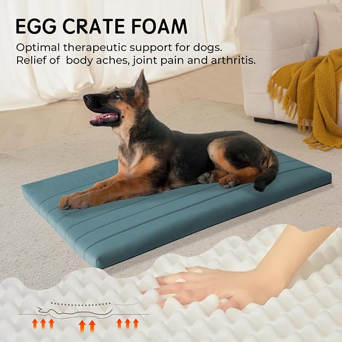 BALANCE Dog Crate Bed, Orthopedic Dog Bed Pad with Waterproof Liner, Washable Crate Foam Pet Mat for Large, Medium, Puppy Dogs Breeds, Powder Blue, 48"x30"x2" - Image 2