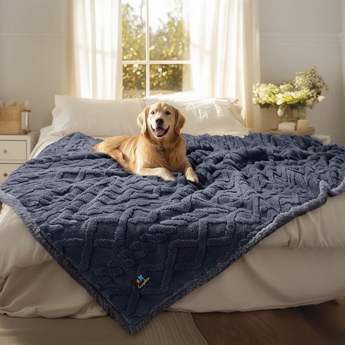 Luciphia Waterproof Blanket for Twin Bed Reversible Fleece Couch Cover | Reversible waterproof pet blanket soft Sherpa fleece machine washable protect couch bed, Dark Grey 85" x 57" by luciphia