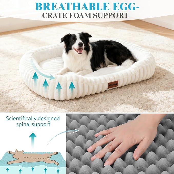 Orthopedic Dog Bed, Washable XXL Dog Couch for Senior Dogs | 43L x 31W x 5.5H, Egg-Crate Foam, Low Front Entry Design, Removable Cover, Non-Slip Bottom, Extra Large Dog Bed, Cream - Image 4