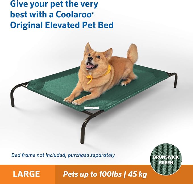 Coolaroo Original Pet Bed Replacement Cover - Brunswick Green - Large (43.5" x 31.5") (Pack of 3) - Image 4